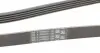 5PK2060 Ремінь генератора BMW 3 (E46)/5 (E39)/7 (E38)/X5 (E53) 3.0D 98-05 (5PK2060) CONTITECH підбір по vin на Brocar