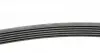 6PK1660 Ремень генератора Fiat Scudo/Citroen Berlingo/VW Golf CONTITECH підбір по vin на Brocar