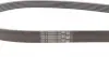 6PK1325 Ремень генератора Audi 100 2.4D/2.5 TDI -94/Fiat Fiorino/Punto 1.3D 12- CONTITECH підбір по vin на Brocar