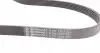 6PK1293 Ремень генератора Audi 100/A6 2.3 90-97/Seat Toledo 2.3 V5 98-00 CONTITECH підбір по vin на Brocar