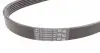 6PK1293 Ремень генератора Audi 100/A6 2.3 90-97/Seat Toledo 2.3 V5 98-00 CONTITECH підбір по vin на Brocar
