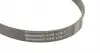 6PK1130 Ремінь генератора Citroen Jumper 1.9TD 94-02 (ALT,PS) CONTITECH підбір по vin на Brocar