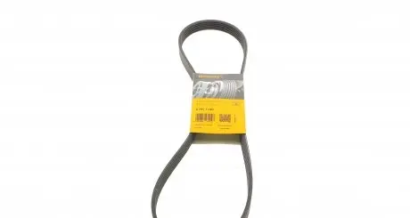 6PK1130 Ремінь генератора Citroen Jumper 1.9TD 94-02 (ALT,PS) CONTITECH підбір по vin на Brocar