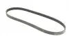 6PK1130 Ремінь генератора Citroen Jumper 1.9TD 94-02 (ALT,PS) CONTITECH підбір по vin на Brocar