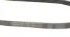 5PK1135 Ремінь генератора Renault Kangoo/Megane/Laguna 1.4/1.5 dCi/1.6 03-/Audi A6 4.2FSI 06-11 CONTITECH підбір по vin на Brocar