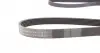 6PK2236 Ремень генератора VW T4 2.4D/2.5/2.5TDI 90-03/Lexus GX 470 01-09 CONTITECH підбір по vin на Brocar