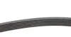 6PK2215 Ремінь генератора VW T4 2.5TDI/LT 2.3 96-06/MB C-class (W204) 3.5 11-/V-class (W639) 2.2CDI 10- CONTITECH підбір по vin на Brocar