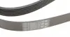 6PK2215 Ремінь генератора VW T4 2.5TDI/LT 2.3 96-06/MB C-class (W204) 3.5 11-/V-class (W639) 2.2CDI 10- CONTITECH підбір по vin на Brocar