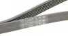 6PK1775 Ремень генератора Ford Transit 2.0/2.3 91-00/MB C-class (W202)/E-class (W210)/SLK (R170) 95-04 CONTITECH підбір по vin на Brocar