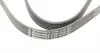 6PK1775 Ремень генератора Ford Transit 2.0/2.3 91-00/MB C-class (W202)/E-class (W210)/SLK (R170) 95-04 CONTITECH підбір по vin на Brocar