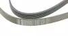6PK1767 Ремінь генератора VW T4 2.4D/2.5TDI 90-03/Ford Fiesta 1.25-1.6 95-02 CONTITECH підбір по vin на Brocar