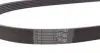 6PK1153 Ремень генератора Fiat Ducato/Citroen Jumper 1.9D/TD 94-/Renault Trafic 2.5dCI 03- CONTITECH підбір по vin на Brocar
