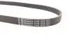 6PK1070 Ремінь генератора VW Caddy 1.6-2.0TDI 15-/Peugeot 2008/306/307/406 1.2-1.6 03- CONTITECH підбір по vin на Brocar