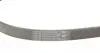 5PK1125 Ремень генератора Renault Trafic/Master/Laguna/Opel Movano/Vivaro 1.9dCi 01-/BMW 3 (E36) 3.0 92-98 CONTITECH підбір по vin на Brocar