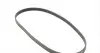 5PK1125 Ремень генератора Renault Trafic/Master/Laguna/Opel Movano/Vivaro 1.9dCi 01-/BMW 3 (E36) 3.0 92-98 CONTITECH підбір по vin на Brocar