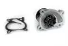 Насос водяний Renault Clio, Kangoo, Megane, Scenic, Duster, Kadjar/Nissan Micra, Note 1.2i, 1.4i, 1.6i (33921) Asam