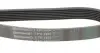 7PK1920 Ремінь генератора Renault Master 3.0dCi/Opel Movano 3.0dTi 03-/Toyota Rav4 2.0 06-13/Avensis 01-09 CONTITECH підбір по vin на Brocar