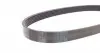 6PK698 Ремень генератора Citroen Jumper 2.5TD/2.0 94-02 (ALT) CONTITECH підбір по vin на Brocar