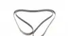 6PK2585 Ремінь генератора MB S-class (W140) 6.0 91-98/Kia Magentis 2.0 05-/Hyundai Sonata 2.0/2.4 05-10 CONTITECH підбір по vin на Brocar