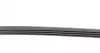 4PK1015 Ремінь генератора Renault Mascott 99-05/Iveco Daily 99-06/Mazda 323 89-96/MX-3 93-98 CONTITECH підбір по vin на Brocar