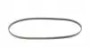 4PK1015 Ремінь генератора Renault Mascott 99-05/Iveco Daily 99-06/Mazda 323 89-96/MX-3 93-98 CONTITECH підбір по vin на Brocar