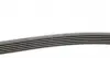 6PK2040 Ремень генератора MB C-class (W202) 93-01/E-class (W124) 93-98/Ssangyong Korando 96-06/Dodge 06- CONTITECH підбір по vin на Brocar