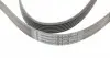 6PK2040 Ремень генератора MB C-class (W202) 93-01/E-class (W124) 93-98/Ssangyong Korando 96-06/Dodge 06- CONTITECH підбір по vin на Brocar