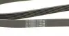 6PK1830 Ремень генератора Renault Trafic 1.9dCi 01-/Opel Insignia 2.0CDTi 14-/Honda Civic 1.3 06- CONTITECH підбір по vin на Brocar