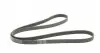 6PK1830 Ремень генератора Renault Trafic 1.9dCi 01-/Opel Insignia 2.0CDTi 14-/Honda Civic 1.3 06- CONTITECH підбір по vin на Brocar