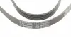 6PK1900 Ремінь генератора VW T4 2.0i 91-03/Opel Vectra 2.2 98-05/Toyota Avensis 1.6/1.8 00-03 CONTITECH підбір по vin на Brocar