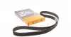 Ремень ГРМ VW Caddy/Golf 1.9TDI/SDI 95-05/Skoda Fabia 1.9SDI 99-08 (141x25) CT946