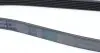 6PK1675 Ремень генератора Toyota Corolla 1.4/1.6 02-06/Ford Escort 1.6/1.8 92-99/Audi A6/100 2.6-2.8 91-97 CONTITECH підбір по vin на Brocar