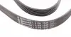 6PK1538 Ремінь генератора VW Golf 1.6FSI 02-06/BMW 3 (E46)/5 (E39/E60) 2.0-3.0 97-10/Ford Focus/Kuga 1.5 14- CONTITECH підбір по vin на Brocar