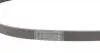 6PK894 Ремень генератора Citroen C4/C5 14-/Renault Kangoo/Clio 1.9D 97-/VW Passat B3/B4 88-97/Sharan 95-10 CONTITECH підбір по vin на Brocar