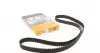 CT921 Ремінь ГРМ Mitsubishi L200 86-07/Pajero 2.5TD/TDi 00-/Renault Laguna 2.2D 93-01 (25x163z) CONTITECH підбір по vin на Brocar