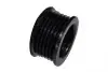 30606 Шків генератора SANDERO/LOGAN/MEGANE/CLIO II/LAGUNA II ASAM 30606 ASAM підбір по vin на Brocar