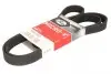 Ремень генератора 7PK1920 Master/Movano 3.0dCi 03- GATES 7PK1920