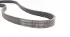 6PK1653 Ремень генератора Ford Escort 1.4-1.8 92-00/Renault Laguna 1.8 93-01/VW Golf II/Passat B3/B4 88-97 CONTITECH підбір по vin на Brocar