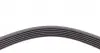 6PK1653 Ремень генератора Ford Escort 1.4-1.8 92-00/Renault Laguna 1.8 93-01/VW Golf II/Passat B3/B4 88-97 CONTITECH підбір по vin на Brocar