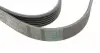 6PK2145 Ремень генератора VW LT 2.5TDI 96-06/Jeep Cherokee/Wrangler 2.4 01-08/BMW 5 (F10/F07/F11) 3.0D 10-17 CONTITECH підбір по vin на Brocar