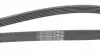 6PK1600 Ремень генератора Opel Combo 1.7DTi 04-/VW Golf/Jetta/Passat 1.4TSI 07-/Audi A1 1.4 TFSI 11-15 CONTITECH підбір по vin на Brocar