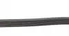 6PK1190 Ремень генератора Renault Kangoo 1.9D 97-/Mazda 3/6/CX-5 2.2D 12-/Fiat Scudo 2.0 00-06 CONTITECH підбір по vin на Brocar