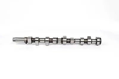 BSG30108005 Розподільний вал Connect/Mondeo 1.8 Di/TDCi/TD 93- BSG підбір по vin на Brocar