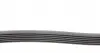 6PK2190 Ремінь генератора MB C-class (W203) 00-08 CONTITECH підбір по vin на Brocar