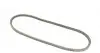 AVX10X813 Ремінь генератора Opel Omega A/Vectra A 2.0-3.0 86-95/Ford Escort/Fiesta 1.0-1.3 76-95 CONTITECH підбір по vin на Brocar