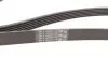 6PK1733 Ремень генератора VW Golf IV/Passat 1.4/1.6FSI 03-16/Toyota Auris/Avensis 1.4-1.8 03-12 CONTITECH підбір по vin на Brocar