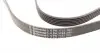 6PK1733 Ремень генератора VW Golf IV/Passat 1.4/1.6FSI 03-16/Toyota Auris/Avensis 1.4-1.8 03-12 CONTITECH підбір по vin на Brocar