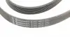 6PK1870 Ремень генератора Toyota Corolla 1.6/1.8 04-09/BMW 3 (E46/E90)/X1 (E84) 1.6/2.0 01-15 CONTITECH підбір по vin на Brocar