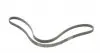 6PK1870 Ремень генератора Toyota Corolla 1.6/1.8 04-09/BMW 3 (E46/E90)/X1 (E84) 1.6/2.0 01-15 CONTITECH підбір по vin на Brocar