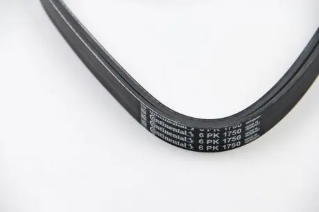 6PK1750 Ремінь генератора Renault Clio/Laguna/Megane 1.4/1.6 97-05/Ford Fiesta 1.25/1.4 95-02 CONTITECH підбір по vin на Brocar